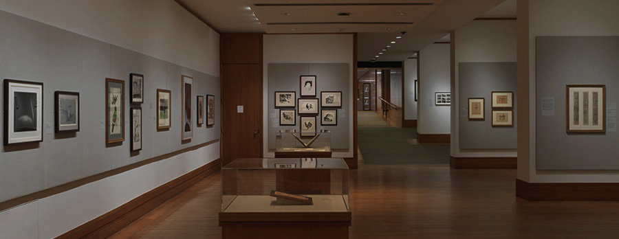 Art Gallery Art Gallery