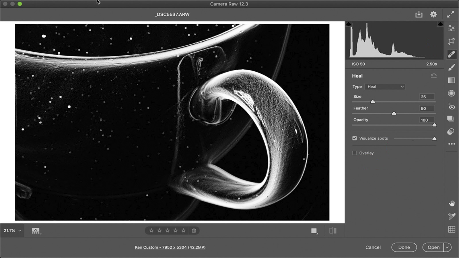 View Easy Spot Removal With Adobe Camera Raw